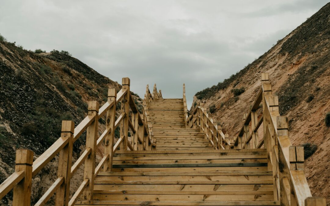 Esto va de escaleras, de peldaños y de validar…